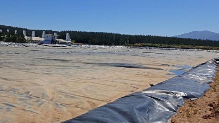 SMA formula dos cargos contra la empresa Agrícola Coexca