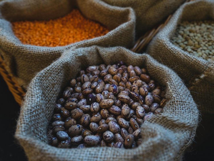 Investigadores destacan beneficios de los porotos para envejecer saludablemente