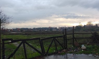 (AUDIO) Linares: construirán un Supermercado Jumbo, un local MacDonald's y un Stripcenter en la avenida Aníbal León Bustos