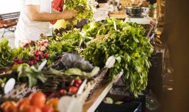 ¿Aumentarán los precios de las hortalizas después de las lluvias?