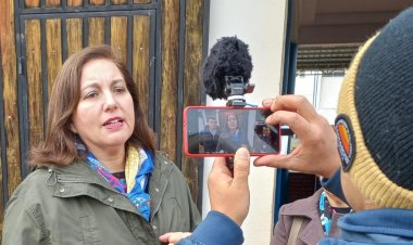 Senadora Vodanovic expresó preocupación respecto a la fiscalización  sobre el uso de plaguicidas en la Región del Maule