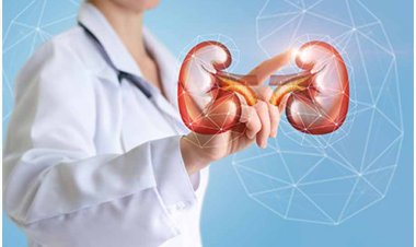 Advierten alta tasa de mortalidad por cáncer de riñón