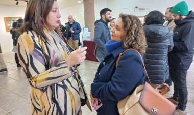 Senadora Vodanovic solicitó a Energía la extensión de plazo para postulación al subsidio eléctrico