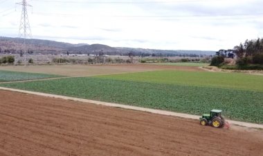 Ministerio de Agricultura entrega bonos de la CNR por $9 mil millones para agricultores de la Región del Maule