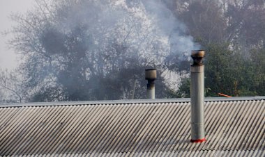 Contaminación ambiental y sus efectos en las enfermedades respiratorias y cardiovasculares