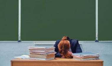 Ley Karin: Protección de la dignidad de las personas en el ámbito del trabajo