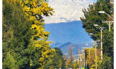 La Región del Maule lanzó su Manifiesto por el Enoturismo