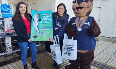 Sernapesca realizó un positivo balance de la veda de la merluza común en 2024