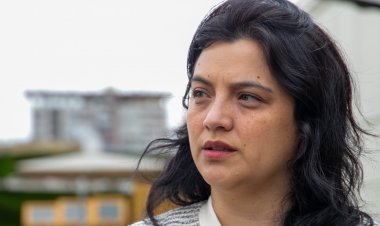 China y Estados Unidos siguen siendo los principales destinos de las exportaciones forestales y agropecuarias