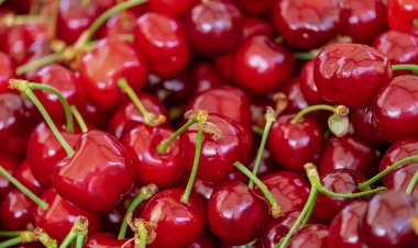 Con el envío de las primeras 10 toneladas SAG inaugura temporada récord de exportación de cerezas chilenas