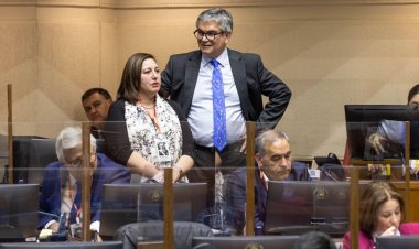 A través de un catastro: Senadora Vodanovic sugerirá a Hacienda que artesanos queden exentos de las 50 transferencias