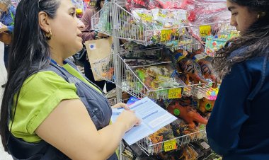 Dirección del Trabajo inicia fiscalizaciones del horario extendido de atención en el Comercio previo a Navidad