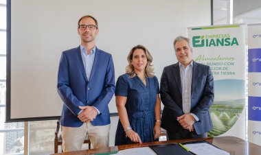 Empresas Iansa y Enel X desarrollarán  proyecto de energía fotovoltaica que autogenerará el 100 ciento de la operación de cuatro predios agrícolas