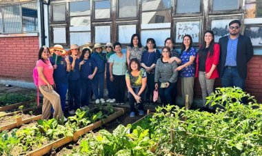 Fondo de Protección Ambiental permitió instalación de huertos escolares en Linares