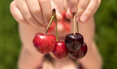 El fenómeno de la cereza chilena en China: un mercado en auge