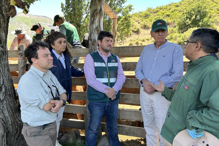 Veranadas en El Melado operan con normalidad, confirman autoridades
