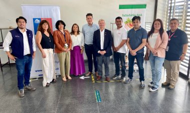 Curicó implementará el EcoMercado Solidario para entregar alimentos gratuitos a miles de hogares y familias de la comuna
