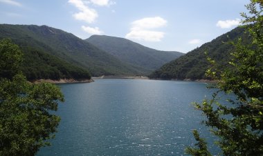 Se confirma distribución de riego en el sistema Longaví durante este mes