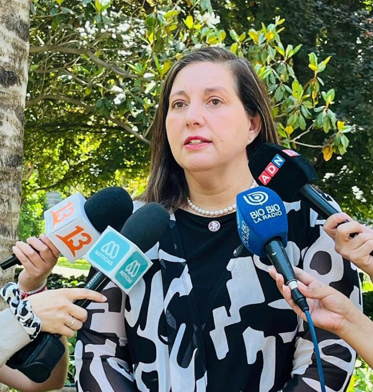Senadora Paulina Vodanovic: “buscaremos mantener los escaños en el Senado en el Maule como también en Arica y Parinacota”