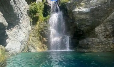 CONAF confirma cierre de reservas y parques Nacionales para este fin de semana por temperaturas extremas