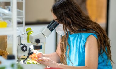 8M: Los desafíos que aún enfrentan las mujeres en la ciencia