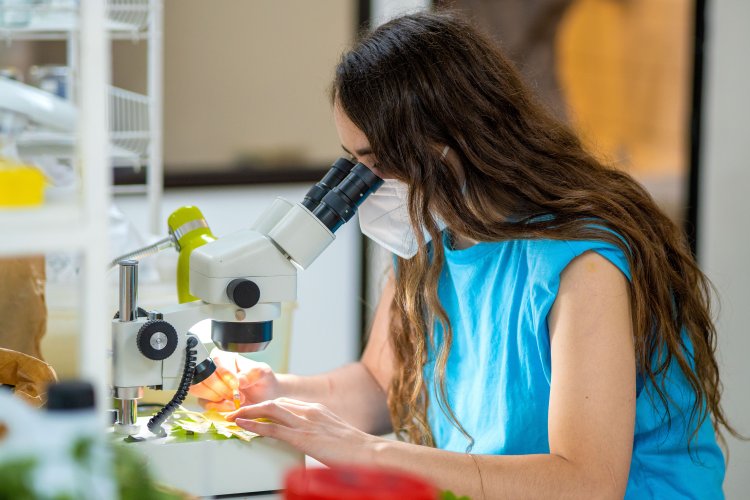 Mujeres en la ciencia: Retos y avances