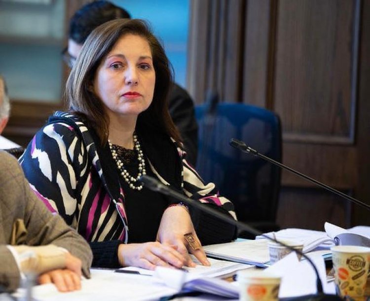 Senadora Vodanovic pidió “urgencia” para Ley de Robo de Cables que ubica al Maule como la segunda más afectada del país