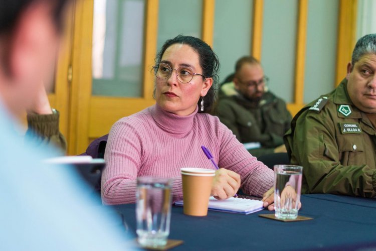 Delegada Aly Valderrama ausente en eventos de Linares y Yerbas Buenas