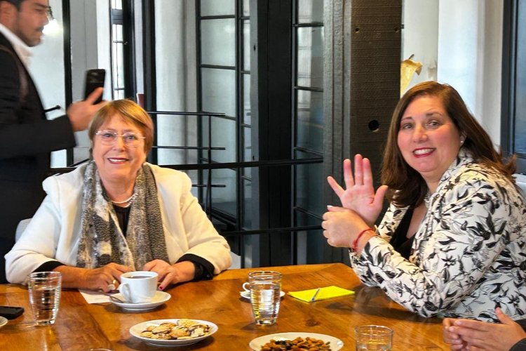 Paulina Vodanovic llama a la unidad y liderazgo en Chile