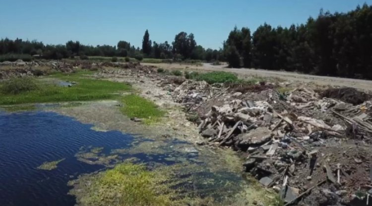 Fundación Altué pide investigar vertedero ilegal en Ballica Norte y formaliza denuncia ante la Superintendencia del Medio Ambiente