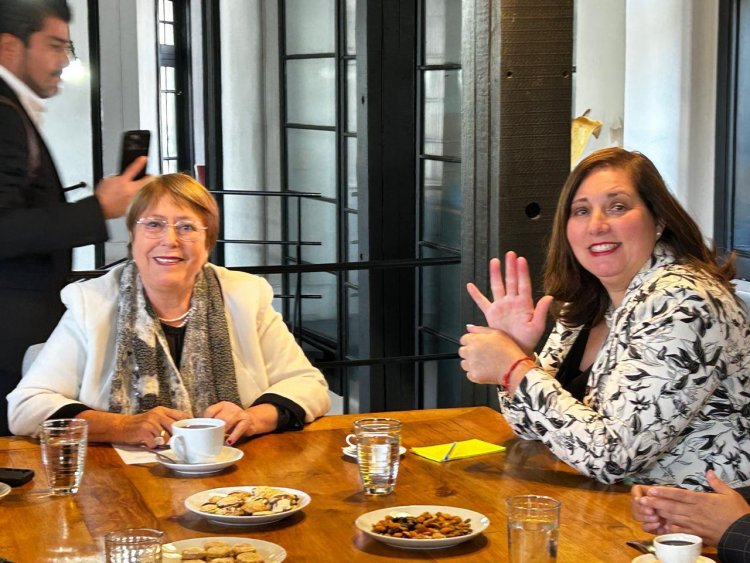 Paulina Vodanovic tras reunión con Bachelet: “Chile no está para divisiones estériles, sino para ideas claras y liderazgo con vocación de mayoría”