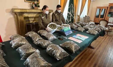 (VIDEO) En la cárcel agrupación delictual sorprendida con más de 22 kilos de marihuana