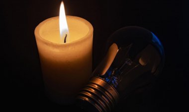 Senadora Vodanovic solicitó plan de contingencia para evitar cortes de luz ante bajas temperaturas en el Maule