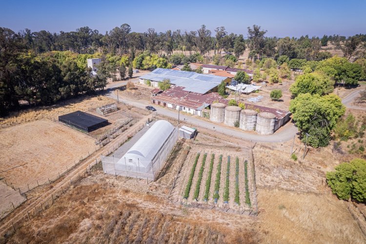 INIA Cauquenes celebra un siglo de historia y compromiso con la agricultura