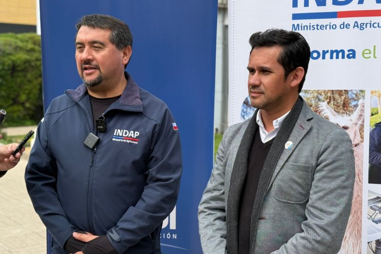 INDAP y Municipalidad de Parral organizan la Expo Arroz 2025