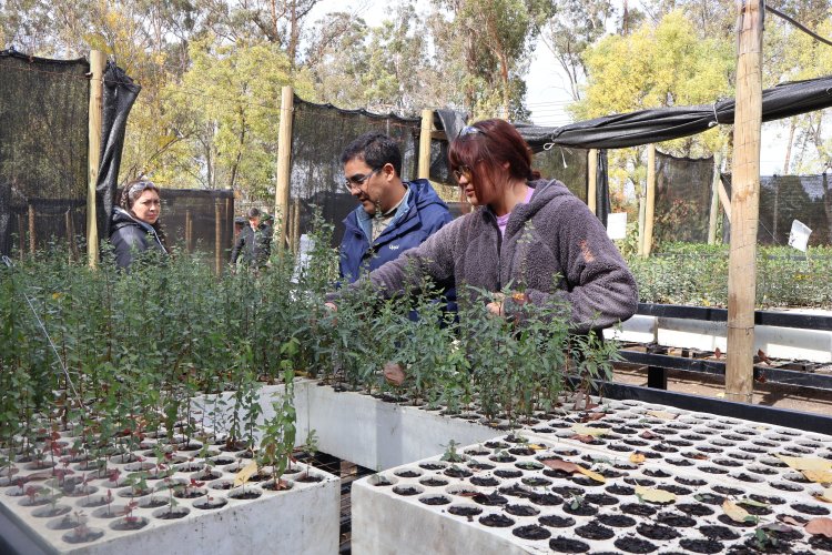 CONAF reconoce e impulsa el empleo femenino en el cuidado y protección del medio ambiente