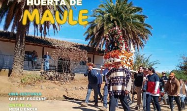 Huerta de Maule
