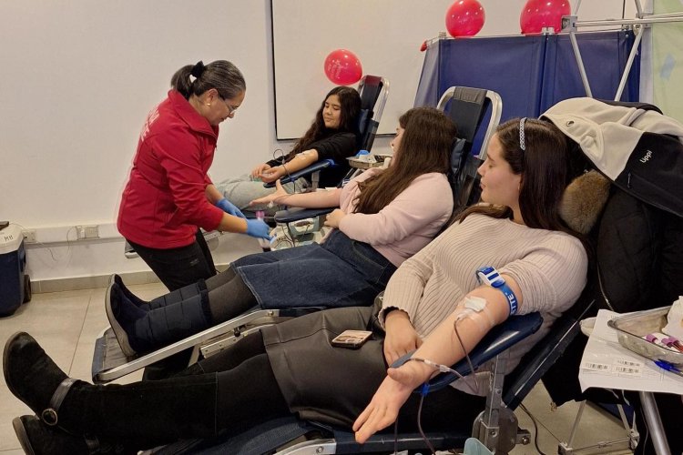 Día Mundial del Donante de Sangre: unión de instituciones para alcanzar meta regional