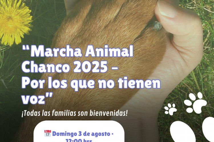 Marcha Animal Chanco 2025: movilización contra abandono y maltrato animal
