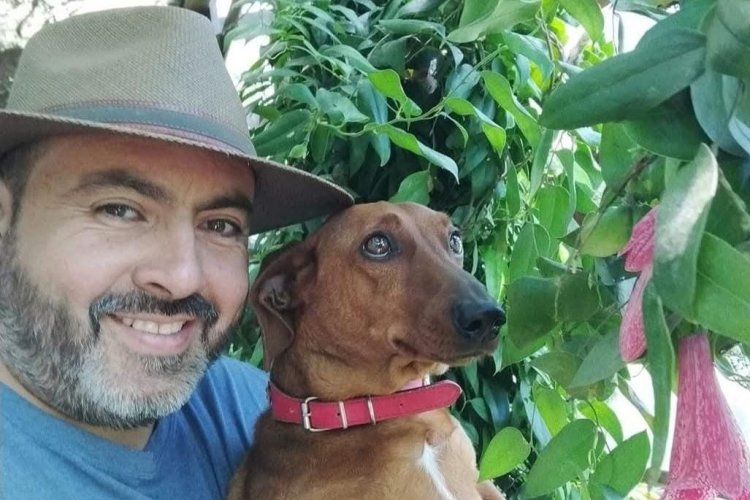 Concejal Eduardo Ibáñez pide cambios en licitación de perrera municipal