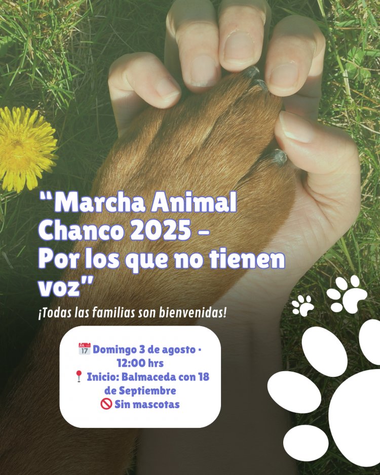Chanco se moviliza por los animales: comunidad convoca a marcha pacífica contra el abandono y maltrato animal