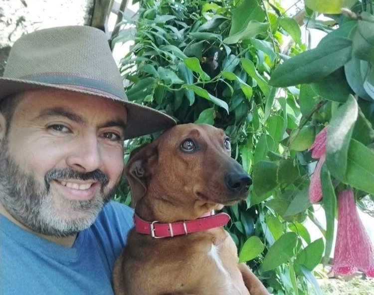 La carta abierta del concejal Eduardo Ibáñez con respecto a la perrera municipal de “La Invernada”