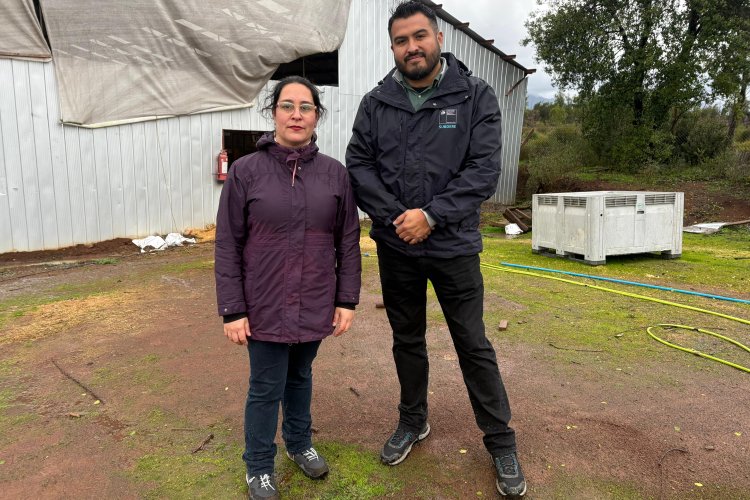 Delegada Aly Valderrama inspecciona perrera municipal de Linares con Subdere