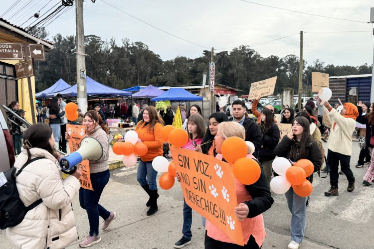 Marcha Animal Chanco 2025: comunidad defiende derechos de los animales