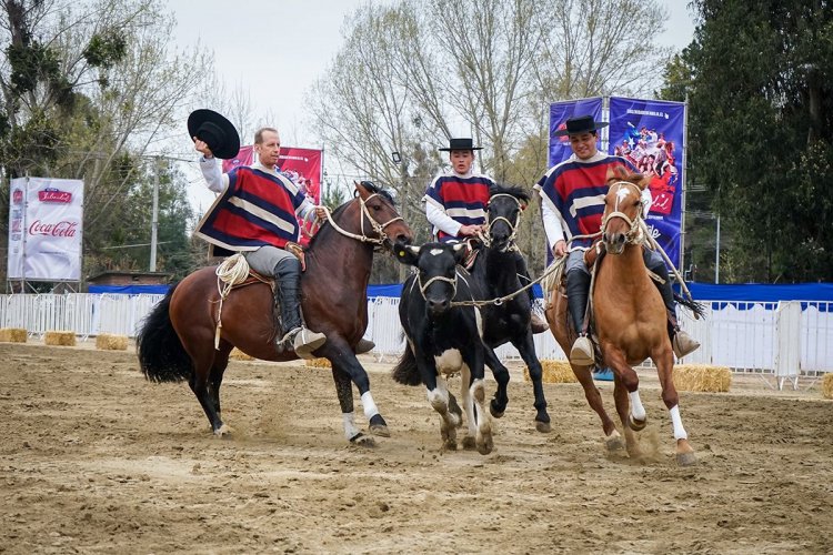 Fiesta de la Chilenidad 2025: Escuadra Ecuestre Palmas de Peñaflor y Ejército en acción