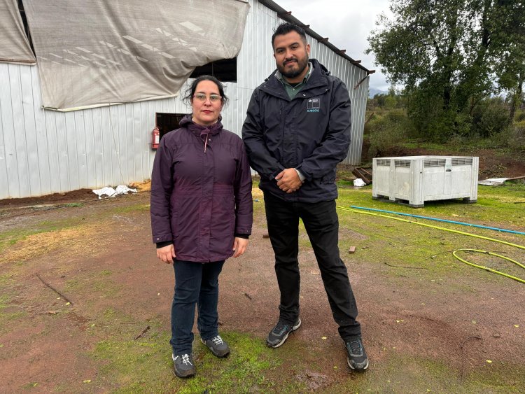 Delegada Aly Valderrama realiza visita inspectiva a perrera municipal de Linares junto a Subdere tras denuncias ciudadanas