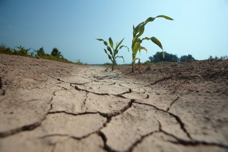 Déficit de lluvias marca un invierno frío y proyecta primavera seca