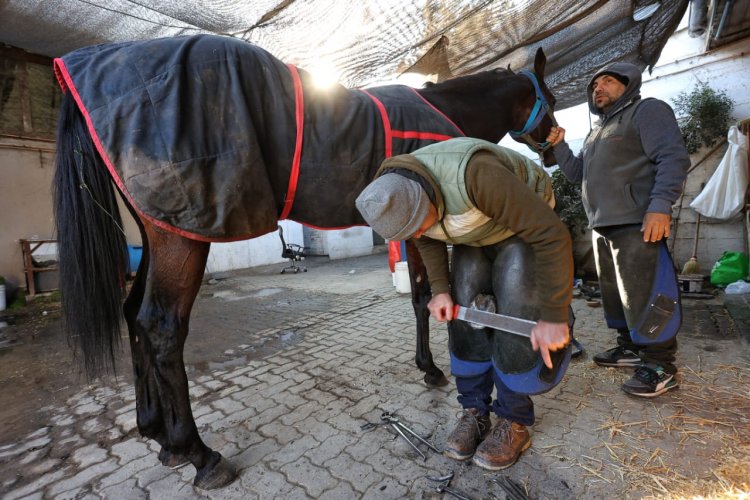 SAG refuerza prevención de anemia infecciosa equina en Fiestas Patrias