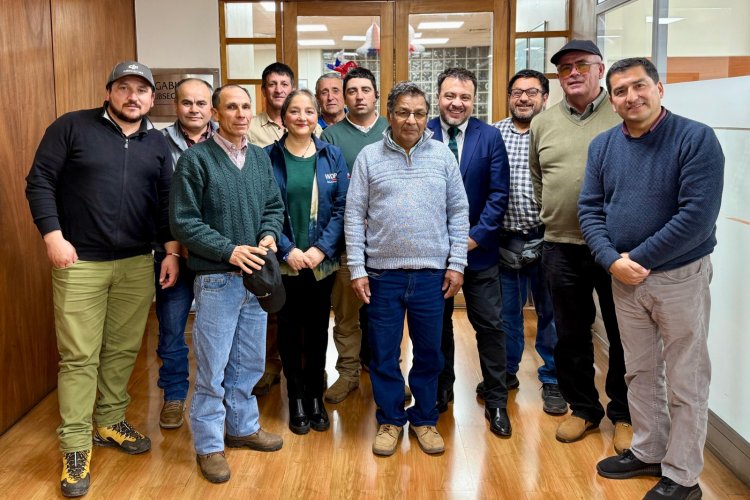 Productores arroceros del Maule se reúnen con subsecretario de Agricultura