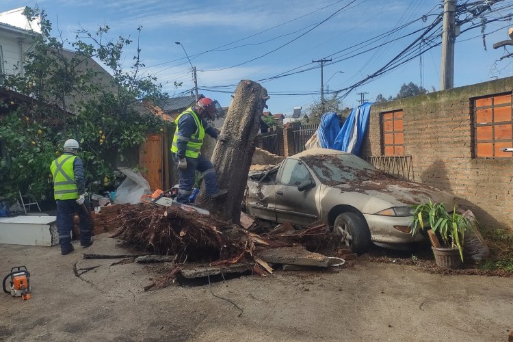 Alerta por lluvias y vientos en Linares